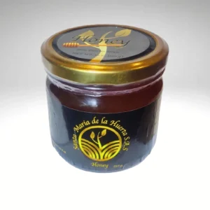 (2packs) Santa Maria de la Huerta- Pure Bee Honey - 19.0 oz